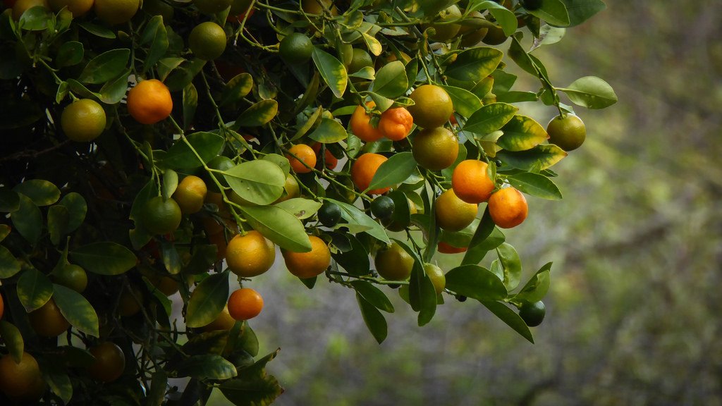 CMD368(中国区)体育有限公司官网