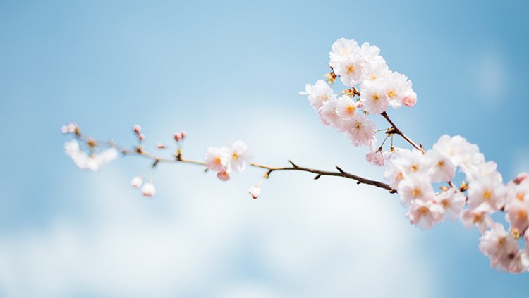 CMD368(中国区)体育有限公司官网