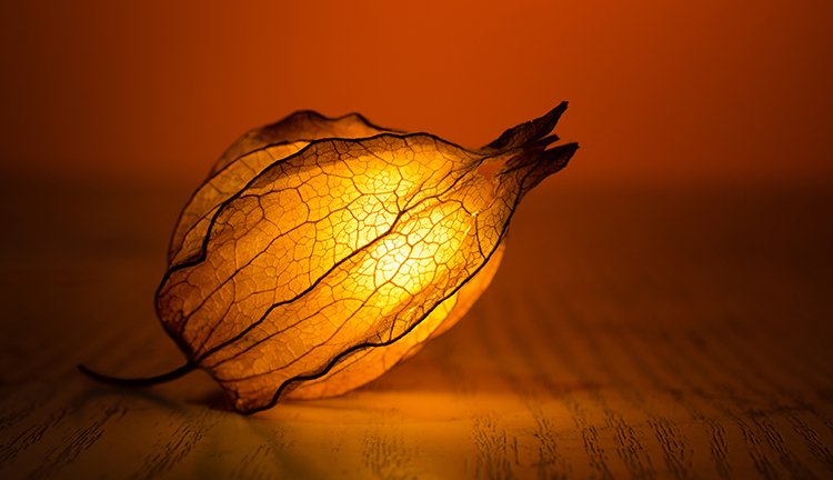 CMD368(中国区)体育有限公司官网