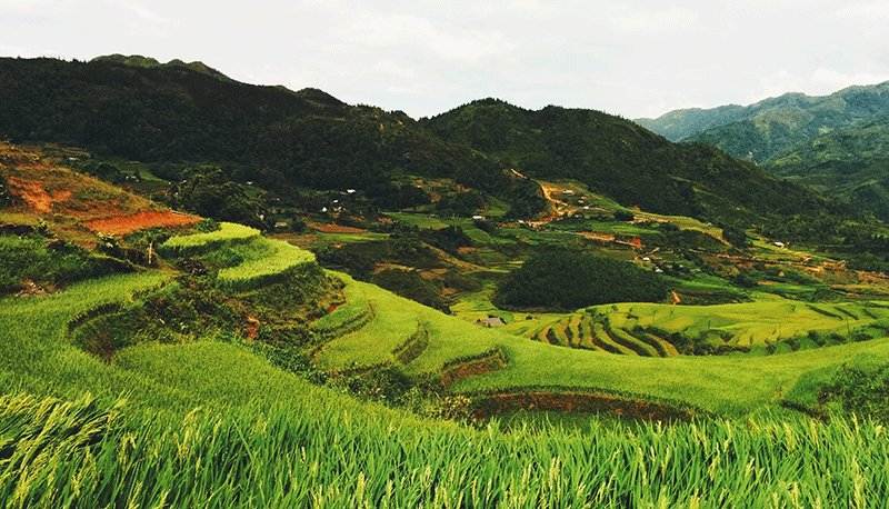 CMD368(中国区)体育有限公司官网