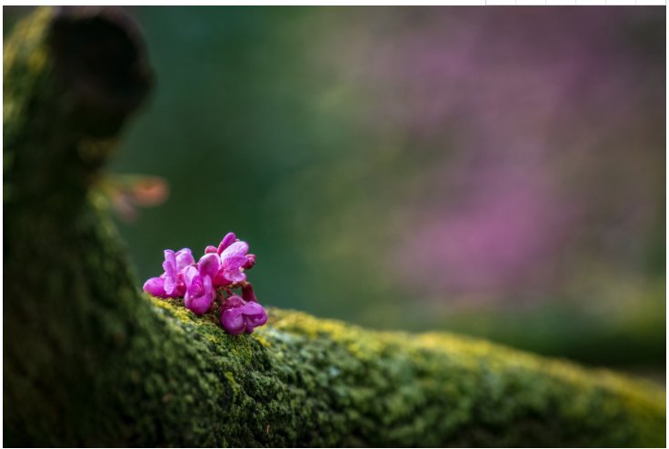 CMD368(中国区)体育有限公司官网