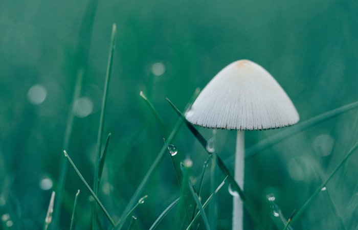 CMD368(中国区)体育有限公司官网