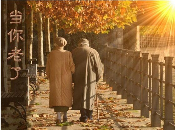 CMD368(中国区)体育有限公司官网